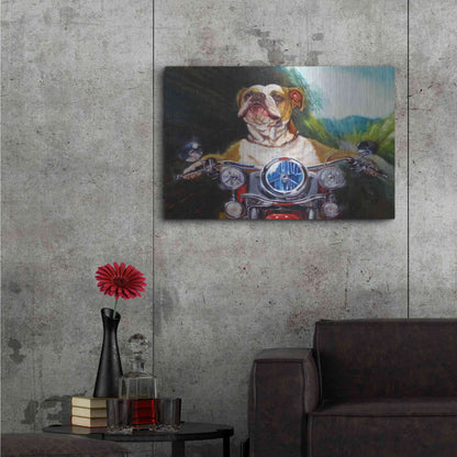 Luxe Metal Art 'Born To Be Wild' by Lucia Heffernan, Metal Wall Art,36x24