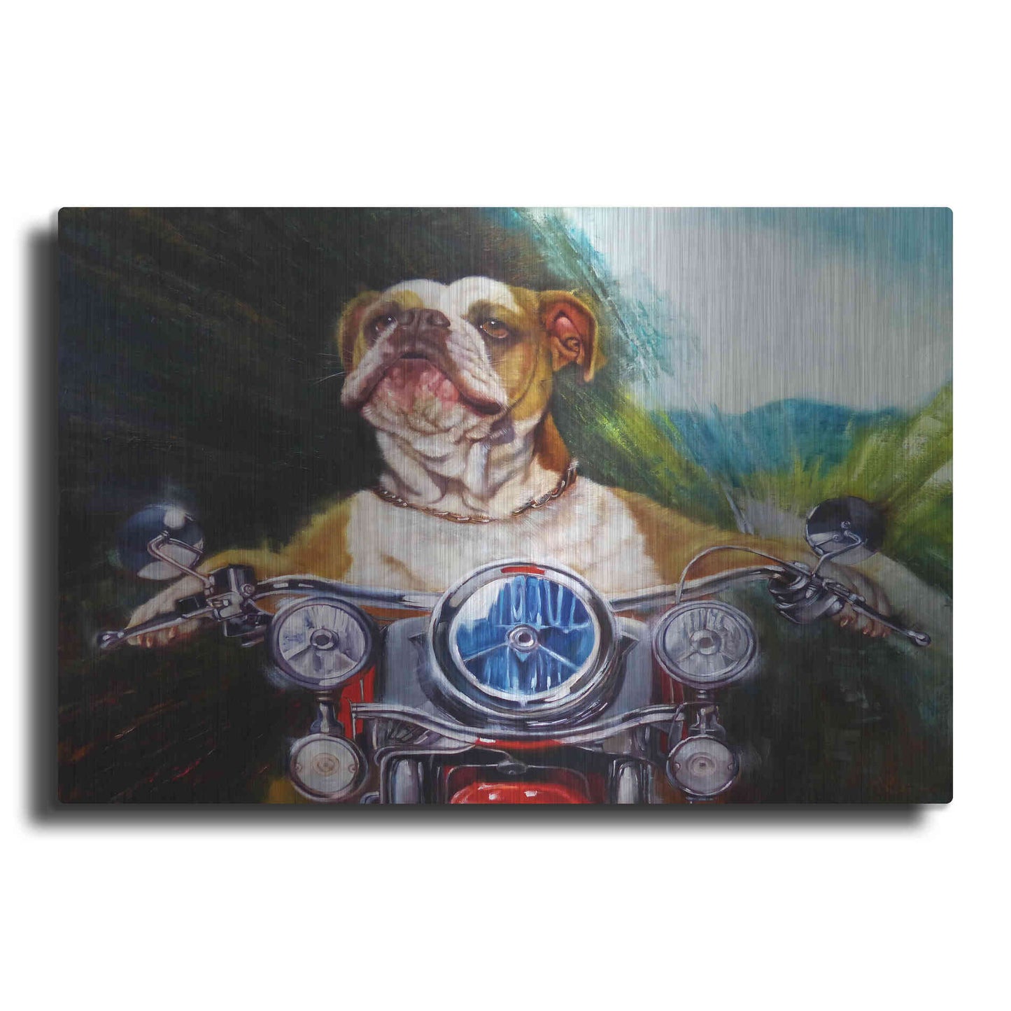 Luxe Metal Art 'Born To Be Wild' by Lucia Heffernan, Metal Wall Art