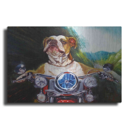 Luxe Metal Art 'Born To Be Wild' by Lucia Heffernan, Metal Wall Art