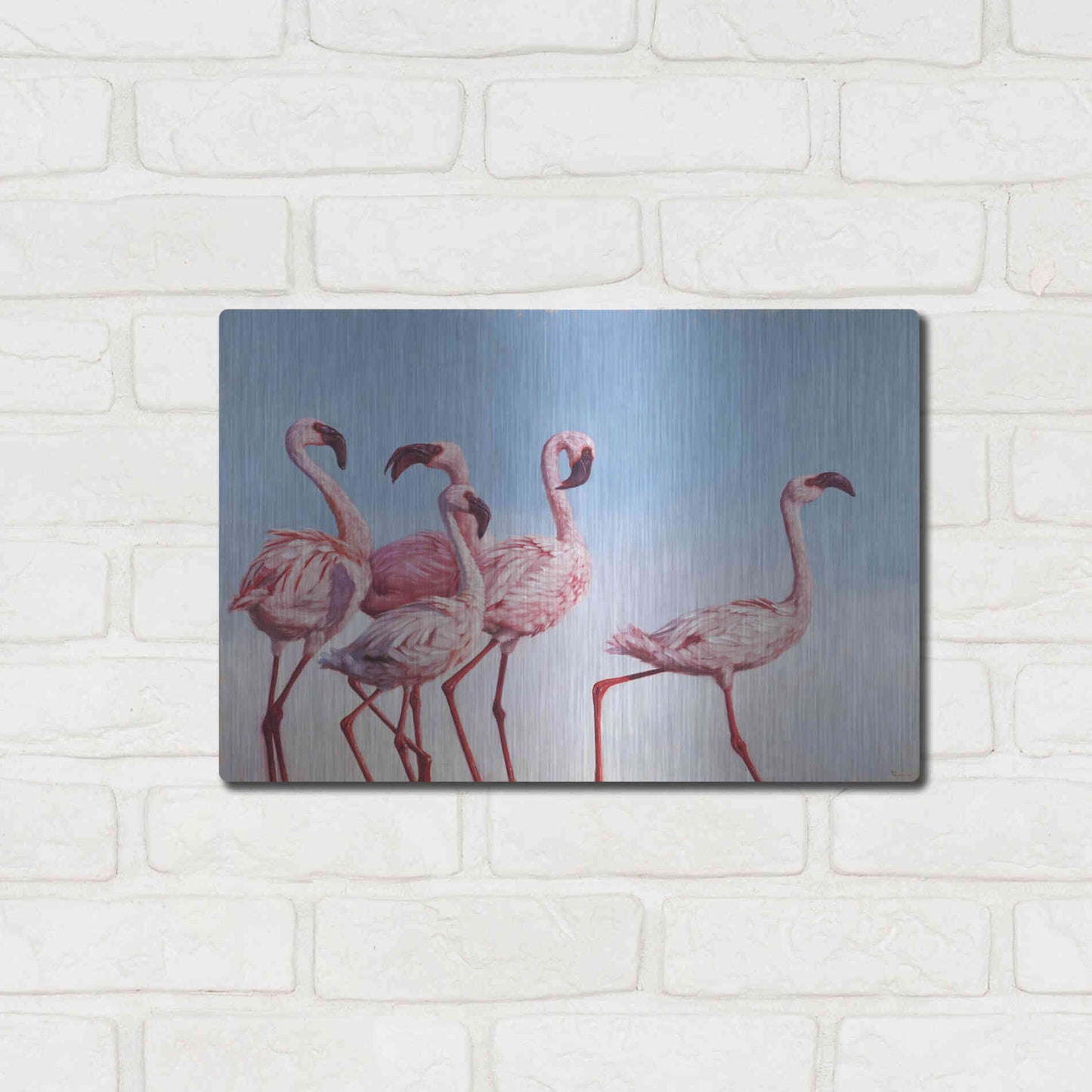 Luxe Metal Art 'Pink Ladies' by Lucia Heffernan, Metal Wall Art,16x12