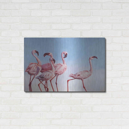 Luxe Metal Art 'Pink Ladies' by Lucia Heffernan, Metal Wall Art,36x24