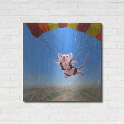 Luxe Metal Art 'Geronimo' by Lucia Heffernan, Metal Wall Art,36x36