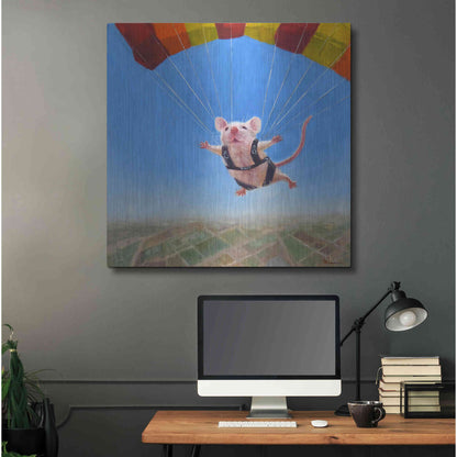 Luxe Metal Art 'Geronimo' by Lucia Heffernan, Metal Wall Art,36x36