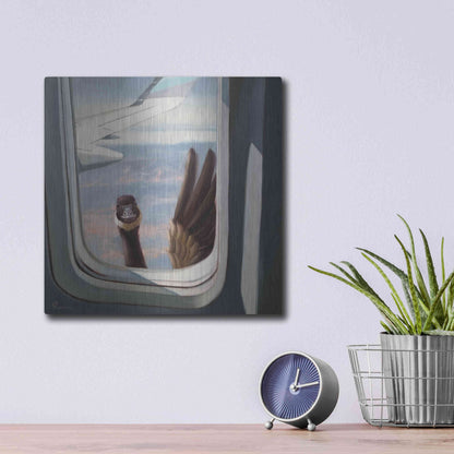 Luxe Metal Art 'Friendly Skies' by Lucia Heffernan, Metal Wall Art,12x12