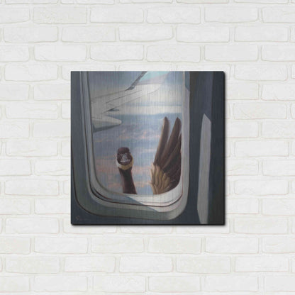 Luxe Metal Art 'Friendly Skies' by Lucia Heffernan, Metal Wall Art,24x24