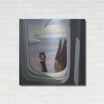 Luxe Metal Art 'Friendly Skies' by Lucia Heffernan, Metal Wall Art,36x36