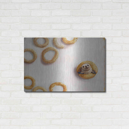 Luxe Metal Art 'Sealrio' by Lucia Heffernan, Metal Wall Art,36x24