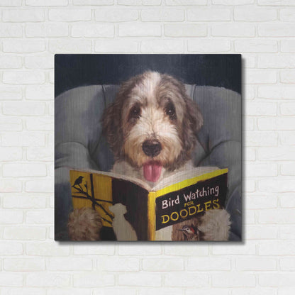 Luxe Metal Art 'Ornithology For Doodles' by Lucia Heffernan, Metal Wall Art,36x36