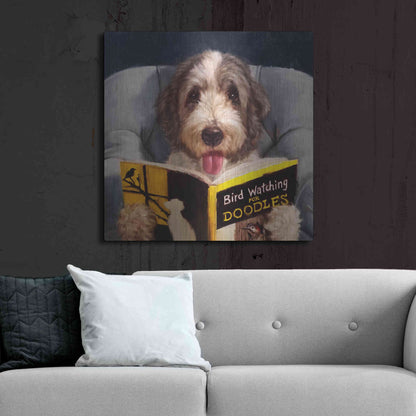 Luxe Metal Art 'Ornithology For Doodles' by Lucia Heffernan, Metal Wall Art,36x36