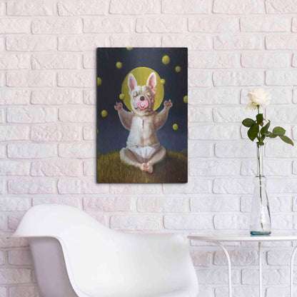 Luxe Metal Art 'Puppy Dreams' by Lucia Heffernan, Metal Wall Art,16x24