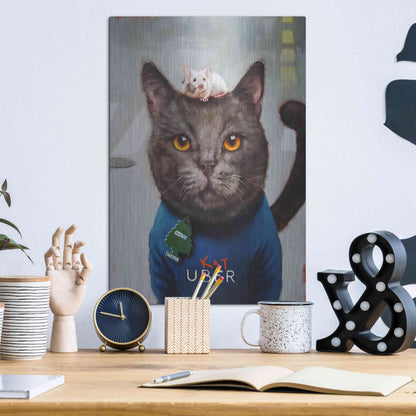 Luxe Metal Art 'Cat Uber' by Lucia Heffernan, Metal Wall Art,12x16