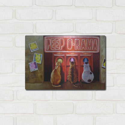 Luxe Metal Art 'Peepshow' by Lucia Heffernan, Metal Wall Art,16x12