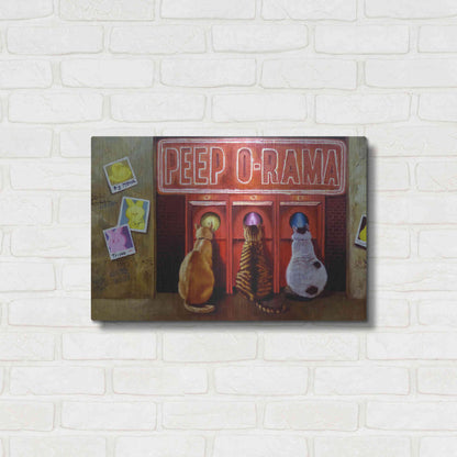 Luxe Metal Art 'Peepshow' by Lucia Heffernan, Metal Wall Art,24x16