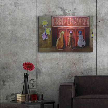 Luxe Metal Art 'Peepshow' by Lucia Heffernan, Metal Wall Art,36x24