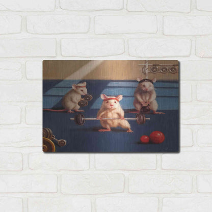 Luxe Metal Art 'Gym Rats' by Lucia Heffernan, Metal Wall Art,16x12