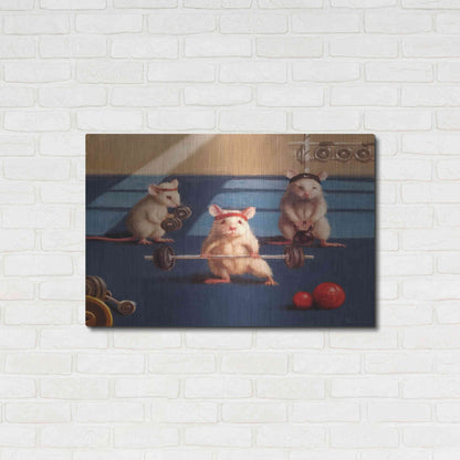 Luxe Metal Art 'Gym Rats' by Lucia Heffernan, Metal Wall Art,36x24