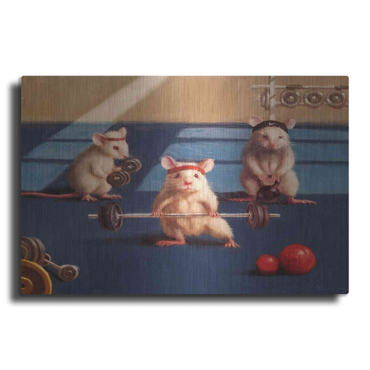 Luxe Metal Art 'Gym Rats' by Lucia Heffernan, Metal Wall Art