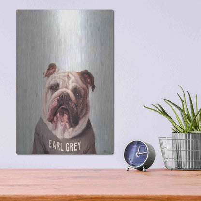 Luxe Metal Art 'Earl Gray' by Lucia Heffernan, Metal Wall Art,12x16