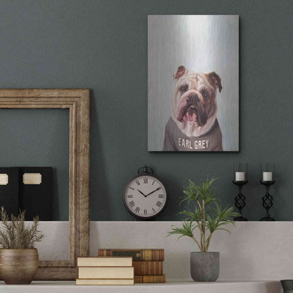 Luxe Metal Art 'Earl Gray' by Lucia Heffernan, Metal Wall Art,12x16