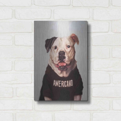 Luxe Metal Art 'Americano' by Lucia Heffernan, Metal Wall Art,12x16