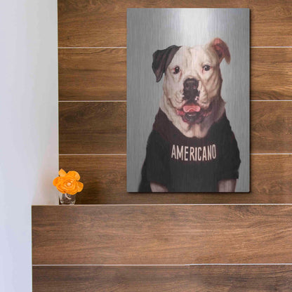 Luxe Metal Art 'Americano' by Lucia Heffernan, Metal Wall Art,12x16