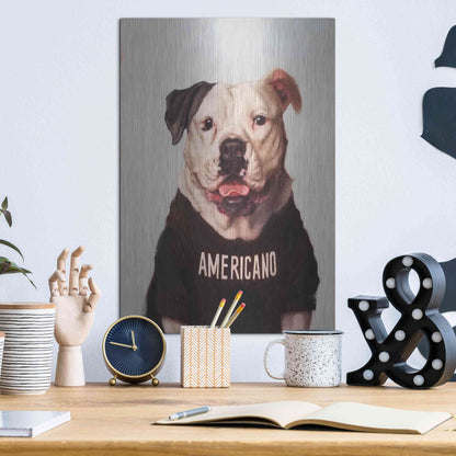 Luxe Metal Art 'Americano' by Lucia Heffernan, Metal Wall Art,12x16