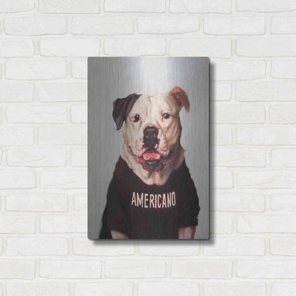 Luxe Metal Art 'Americano' by Lucia Heffernan, Metal Wall Art,16x24