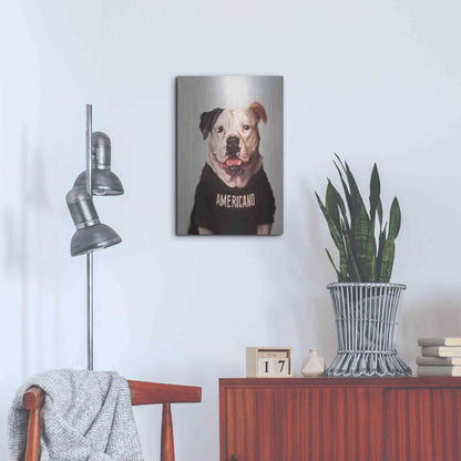 Luxe Metal Art 'Americano' by Lucia Heffernan, Metal Wall Art,16x24