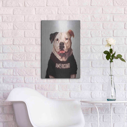 Luxe Metal Art 'Americano' by Lucia Heffernan, Metal Wall Art,16x24