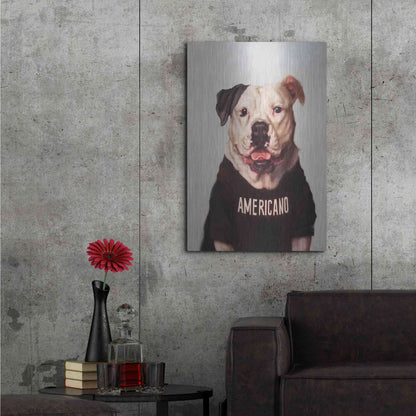 Luxe Metal Art 'Americano' by Lucia Heffernan, Metal Wall Art,24x36