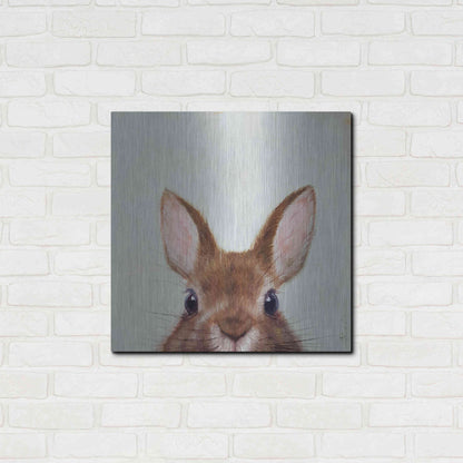 Luxe Metal Art 'Peek a Boo' by Lucia Heffernan, Metal Wall Art,24x24