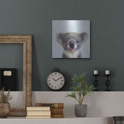 Luxe Metal Art 'Lil Koala' by Lucia Heffernan, Metal Wall Art,12x12