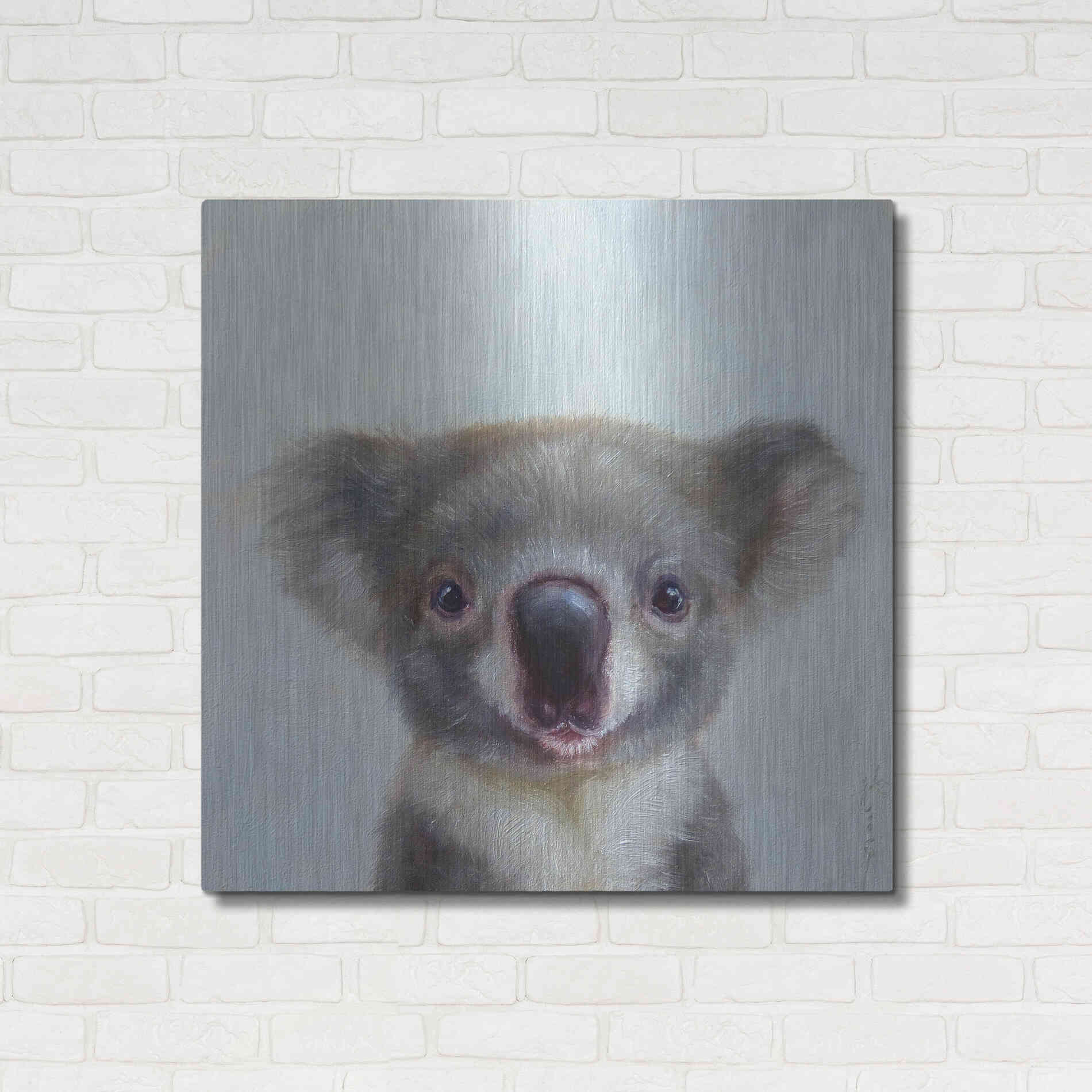 Luxe Metal Art 'Lil Koala' by Lucia Heffernan, Metal Wall Art,36x36