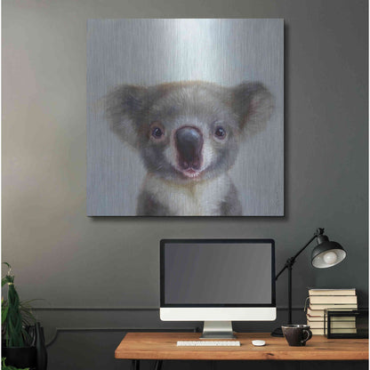 Luxe Metal Art 'Lil Koala' by Lucia Heffernan, Metal Wall Art,36x36