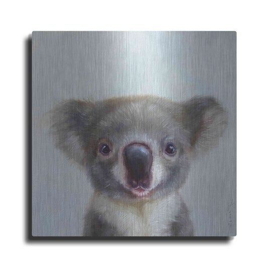 Luxe Metal Art 'Lil Koala' by Lucia Heffernan, Metal Wall Art