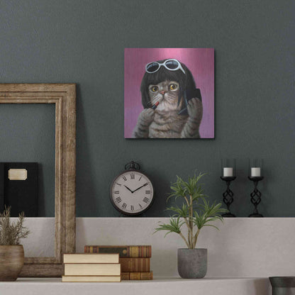 Luxe Metal Art 'Bob Cat' by Lucia Heffernan, Metal Wall Art,12x12