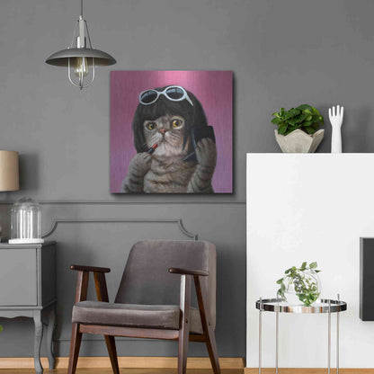 Luxe Metal Art 'Bob Cat' by Lucia Heffernan, Metal Wall Art,24x24