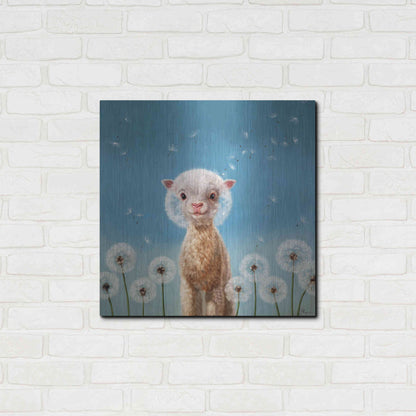 Luxe Metal Art 'Summer Wishes' by Lucia Heffernan, Metal Wall Art,24x24