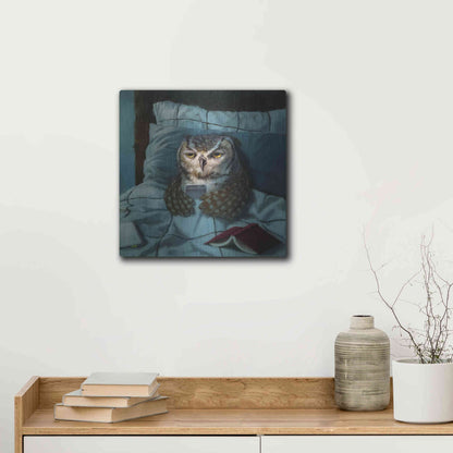 Luxe Metal Art 'Night Owl' by Lucia Heffernan, Metal Wall Art,12x12