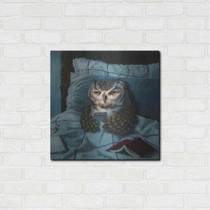 Luxe Metal Art 'Night Owl' by Lucia Heffernan, Metal Wall Art,24x24