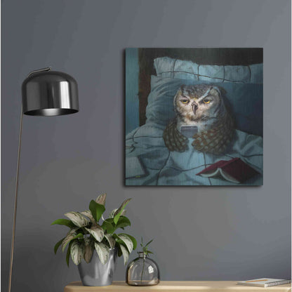 Luxe Metal Art 'Night Owl' by Lucia Heffernan, Metal Wall Art,24x24