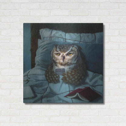 Luxe Metal Art 'Night Owl' by Lucia Heffernan, Metal Wall Art,36x36