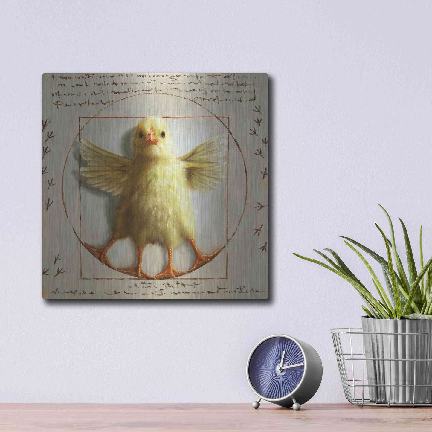 Luxe Metal Art 'Vitruvian Chick' by Lucia Heffernan, Metal Wall Art,12x12