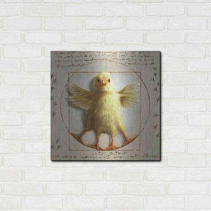 Luxe Metal Art 'Vitruvian Chick' by Lucia Heffernan, Metal Wall Art,24x24