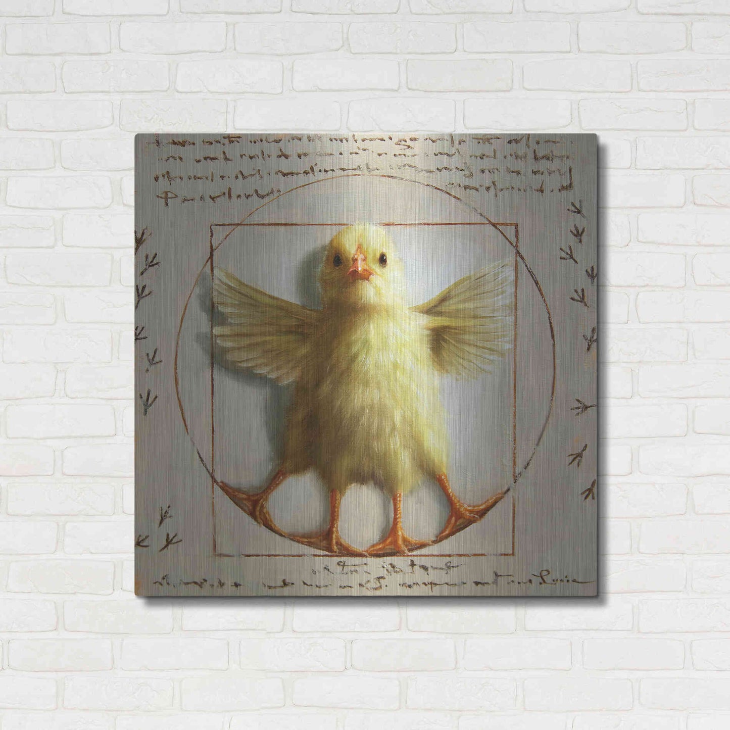 Luxe Metal Art 'Vitruvian Chick' by Lucia Heffernan, Metal Wall Art,36x36