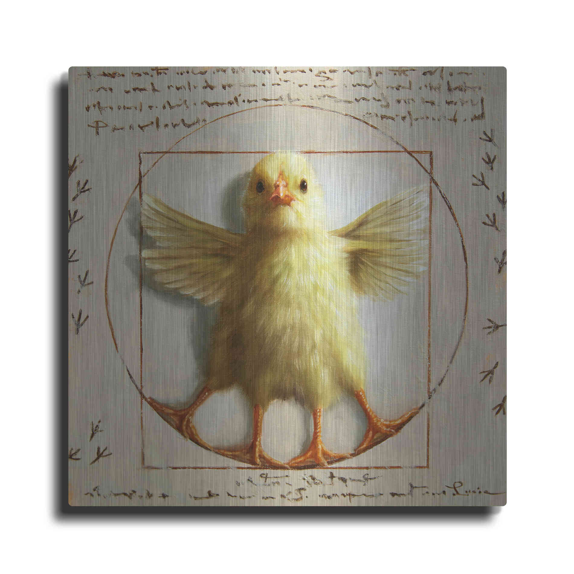 Luxe Metal Art 'Vitruvian Chick' by Lucia Heffernan, Metal Wall Art