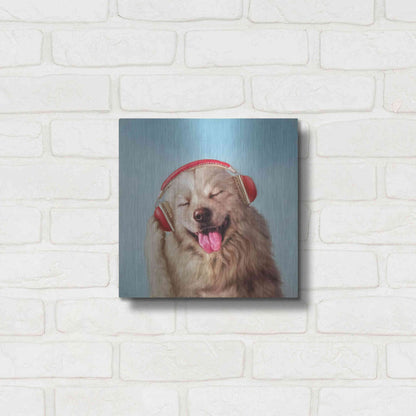 Luxe Metal Art 'Woof Jam' by Lucia Heffernan, Metal Wall Art,12x12