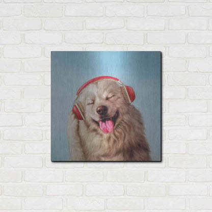 Luxe Metal Art 'Woof Jam' by Lucia Heffernan, Metal Wall Art,24x24