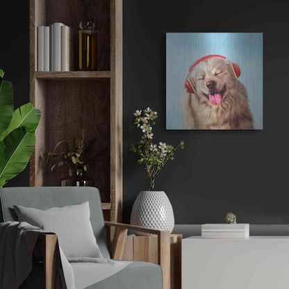 Luxe Metal Art 'Woof Jam' by Lucia Heffernan, Metal Wall Art,24x24