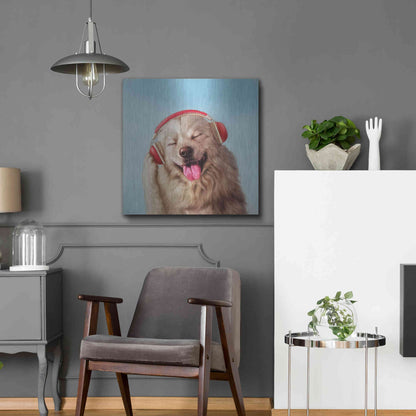 Luxe Metal Art 'Woof Jam' by Lucia Heffernan, Metal Wall Art,24x24